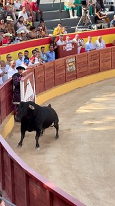 63K views · 37K reactions | Me encanta ver los toros cuando saltan al...