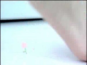 Shokubutsu TVC