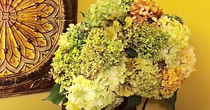 How To Make Coffee Filter Hydrangeas