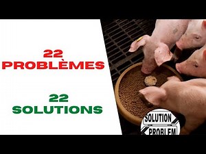 ELEVAGE DES PORCS: les 22 Problèmes et nos Solutions Pratiques