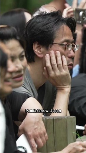 Meet the 2 Giant Pandas Heading to Zoo Atlanta
