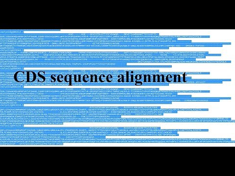 DNA sequence alignment | protein alignment | ClustalW MEGA7 | DNA to Protein alignment | Seq align