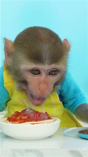 #monkey #monkeybaby ##animalshome