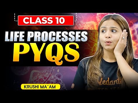 Life Processes | Class 10 Biology: ALL Important PYQs in ONE Video!