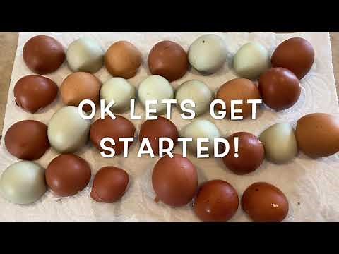 Make Your Own Natural Calcium Powder at Home: How to Use Eggshells!