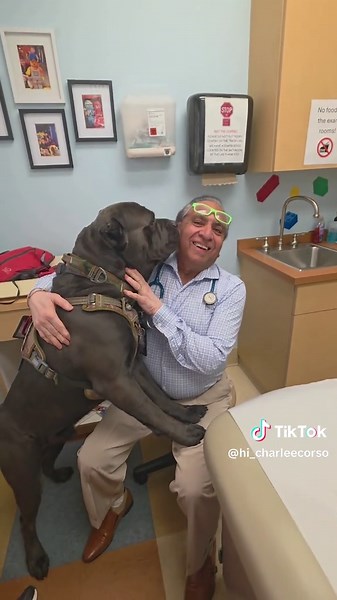 Friendly Charlee with Dr. Sanjiv 😂💯 Hey friends 👋 This is Charlee — my Cane Corso service dog and my everyday hero. 🐾 Charlee doesn’t just help me with my medical needs… he was created to love, comfort, protect, and bring joy wherever we go. From hospitals 🏥 to rehab centers, gyms 💪 to kids’ smiles 👧, and even other animals 🐶🐱 — Charlee’s mission is simple: ❤️ Spread love 🐾 Serve with compassion ✨ Remind people they are not alone On this page you’ll see: ✔ Real service dog life ✔ Incre