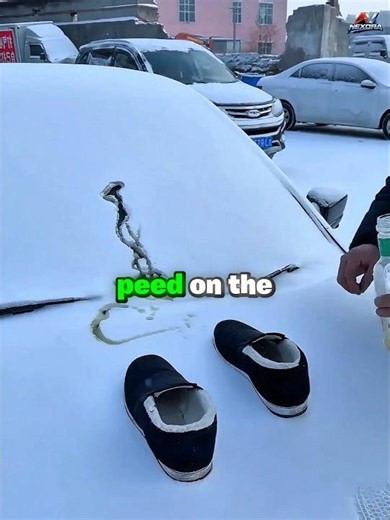 Funny Neighbor Prank
