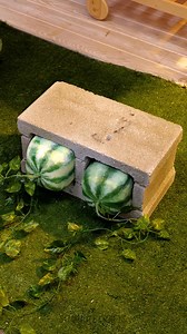 599K views · 2.4K reactions | Creative Gardening Solutions That Actually Work | 5-Minute Crafts Teens | Facebook