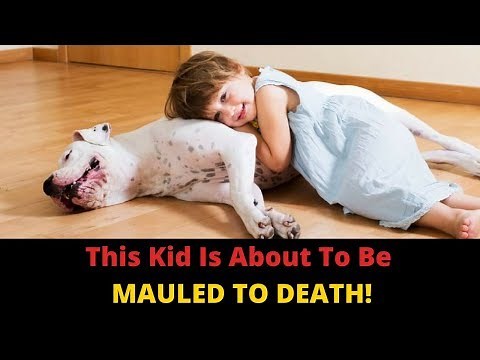 Why Do Dogs Bite Children? Parents, You Can Prevent Dog Attacks In Kids!