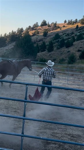 2.5K views · 38 reactions | Keep tradition alive.  Hand-shaped cowboy hats for cowboys since 1952. Trust the original ➡️ www.thecowlot.com : @saddledandsappy 鸞 Hat: Twister Beehive Upcoming Events: Douglas County Fair, July 26 - Aug. 4 #thecowlot #customhats #westernlifestyle #cowboyhats #coltstarting #horsetrainer #breakingcolts #coldbacked #cowboyin | The Cow Lot | Facebook