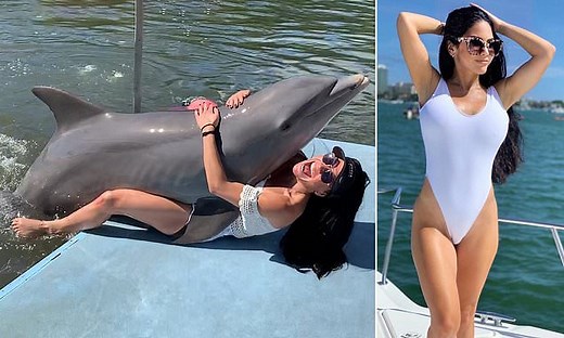 Moment a woman is unexpectedly HUMPED by a dolphin