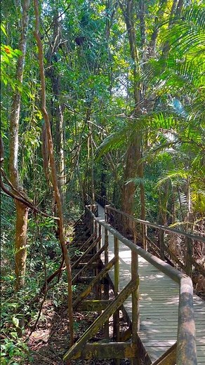 코스타리카 마누엘 안토니오 🌴🐍🦥🐒 | Manuel Antonio, Costa Rica