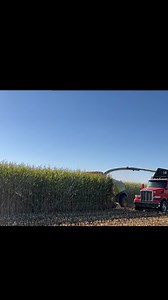 22K reactions · 802 shares | Hard to beat this view! Corn season is around the corner and we can’t wait! • • • #bagliettoseeds #silagecorn #agribusiness #californiaag | Baglietto Seeds | Facebook