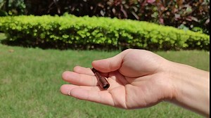 100 Pcs Fencing Fasteners Post Screw with Wire Fixer, Fence Staple for Wire Mesh and Woven Fencing, Quickly Install in Wood with Power Drill