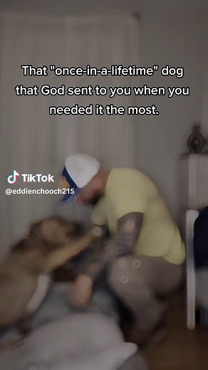 Eddie and Chooch: A Heartwarming Friendship Story