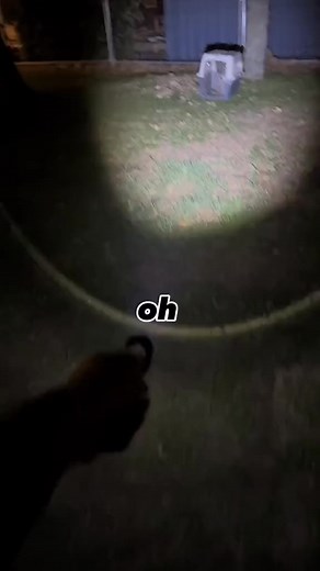 😨 N’abandonnez pas vos animaux 😞 ##malinois##prevention##security##guard##work##travail##fakesituation##dog##abandoned##ninolemalou.mkv | Ninolemalou