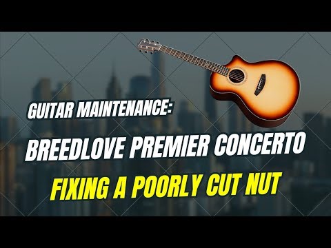 Breedlove Premier Nut Slot Issue