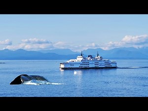 From Nanaimo to Vancouver Ferry with Car - Vancouver Island Ferry | 4K