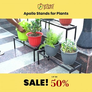 2M views · 2.3K reactions | Upgrade Your Urban Gardening Game!  Introducing All New Apollo Stands for your Pots, Exclusively Designed to meet the needs of modern home gardeners. Order Now and get Easy Assembly/Disassembly, Superior Strength, No Intransit Damage Guarantee & more! | Urban Plant | Facebook