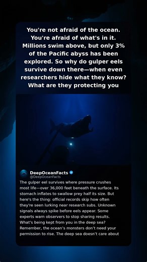 You're not afraid of the ocean. You're afraid of what's in it. Millions swim above, but only 3% of t