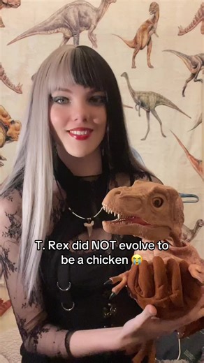 T. Rex Evolution Misconceptions