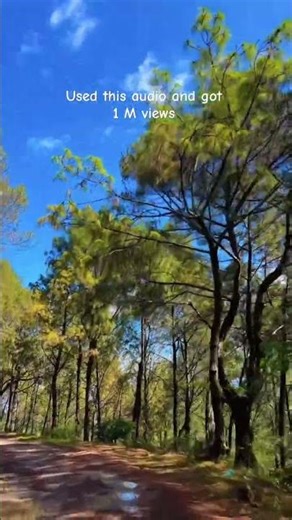 Used this audio and got 1M views #milionviews #milionview