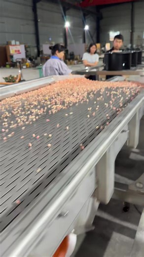 Pomegranate seed screening and drying production line | Henan Cyril Machinery Equipment Co.,LTD