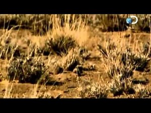 Discovery Channel - Sobrevivi 5x01 Varados en el Desierto
