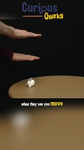 28K views · 183 reactions | Beat Your Friends With This Quick Reflex Challenge ✋ | Curious Quirks | Facebook