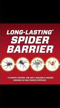 Ortho Home Defense Insect Killer Review | Indoor & Perimeter Bug Control with Comfort Wand