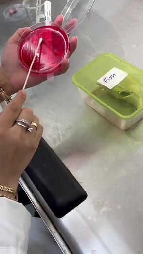 ‏#microbiology #kau #student #university #lab #احياء_دقيقة