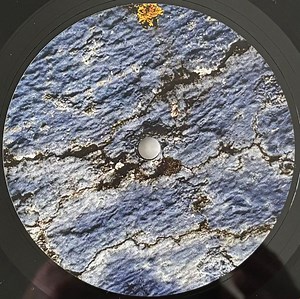 Info - A Throw-Away Society