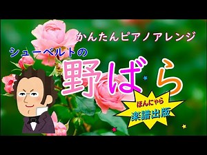 【解説付き！演奏動画】 野ばら / シューベルト かんたんピアノアレンジ