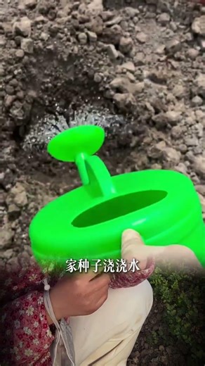 Discover the Perfect Flower: Beautiful & Edible