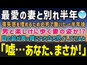 【感動する話】愛する妻と別れ半年。思いを断ち切るため必死で働いた→ある日、男性と仲睦まじく歩く妻を見かけ呆然としていると…妻と目が合い「そんな…どうして!｣驚愕の事実が…【泣ける話】朗読