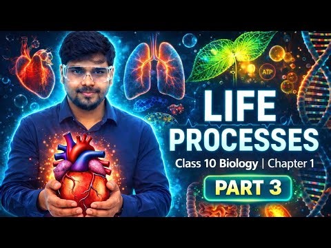 🧬 Life Processes | Class 10 Biology Chapter 1 | Part – 3 | By Vimalendu Sir