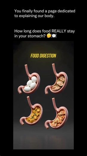 Explaining Our Body on Instagram: "Ever wondered how long your food actually stays in your stomach? 🍽️ Your digestive system works way harder than you think 😳 Different foods break down at different speeds based on things like metabolism, age, health, and more — so these times aren’t exact for everyone, but they give a fascinating look at how your body processes what you eat. Note: These digestion times are not 100% accurate for every person. This reel is for educational illustration only. The