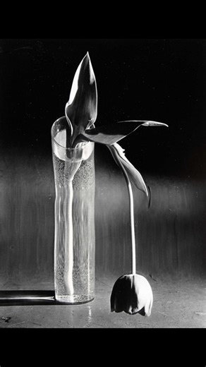 22K views · 665 reactions | André Kertész (2 July 1894 – 28 September...