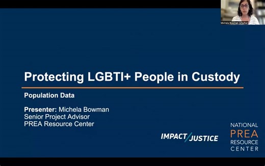 Protections in the PREA Standards for LGBTI+ Individuals | Population Data