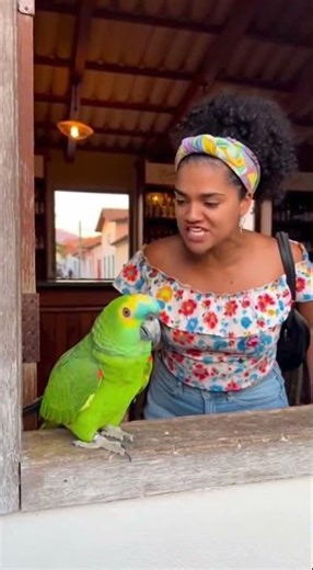 papagaio fazendo fofoca #shorts #series #filmes #cenas #memes #novela