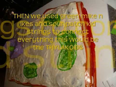 How to make an edible Plant Cell for Biology Science Project