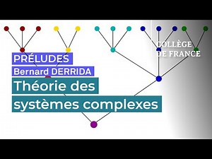 Théorie des systèmes complexes : des verres de spin aux réseaux de neurones - Bernard Derrida