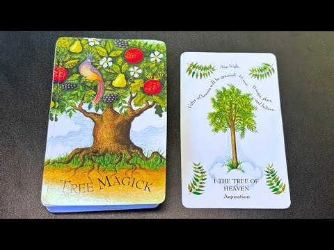 The Tree Magick Oracle Deck (Silent Flipthrough)