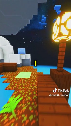 Reddit Raccoon on TikTok