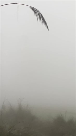 Engaging Content for You Page