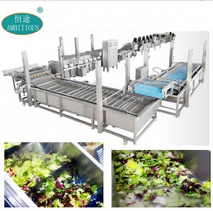 [Hot Item] Full Automatic Washing Frozen Vegetable Production Line