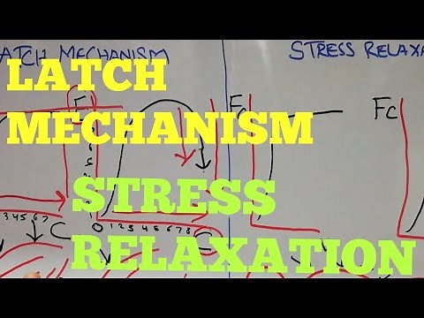 Guyton chapter 8 | Latch mechanism | stress relaxation | Reverse stress relaxation | Lec 45