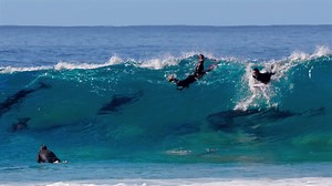 Kingdom of Flow, an 18-minute surf movie presented by Cola Bros. Now featured on NobodySurf. | NobodySurf