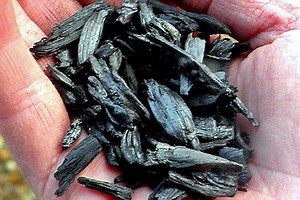 Biochar as the new black gold