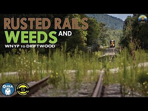 Rusted Rails And Weeds: WNY&P To Driftwood